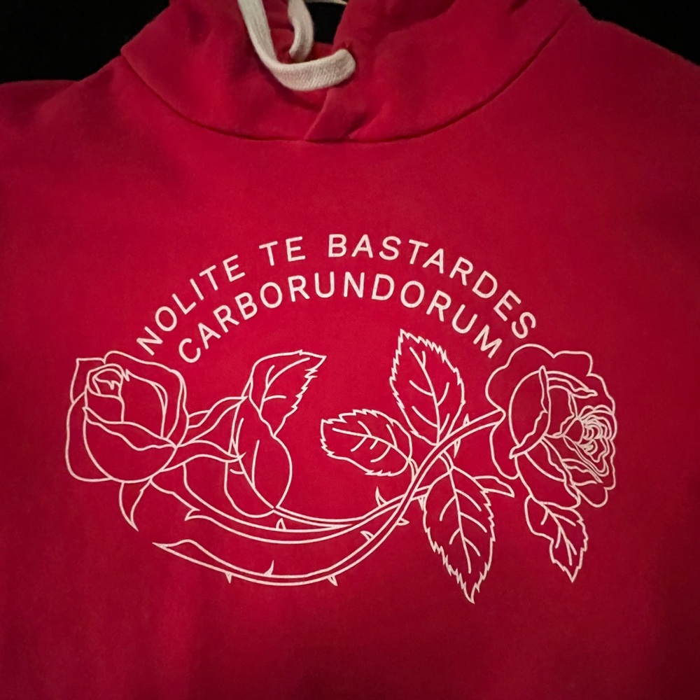 Red subtle Handmaid’s Tale reference vintage Hoodie
